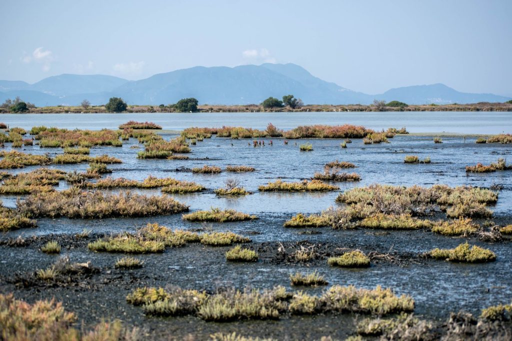Delta Neretwy, Chorwacja