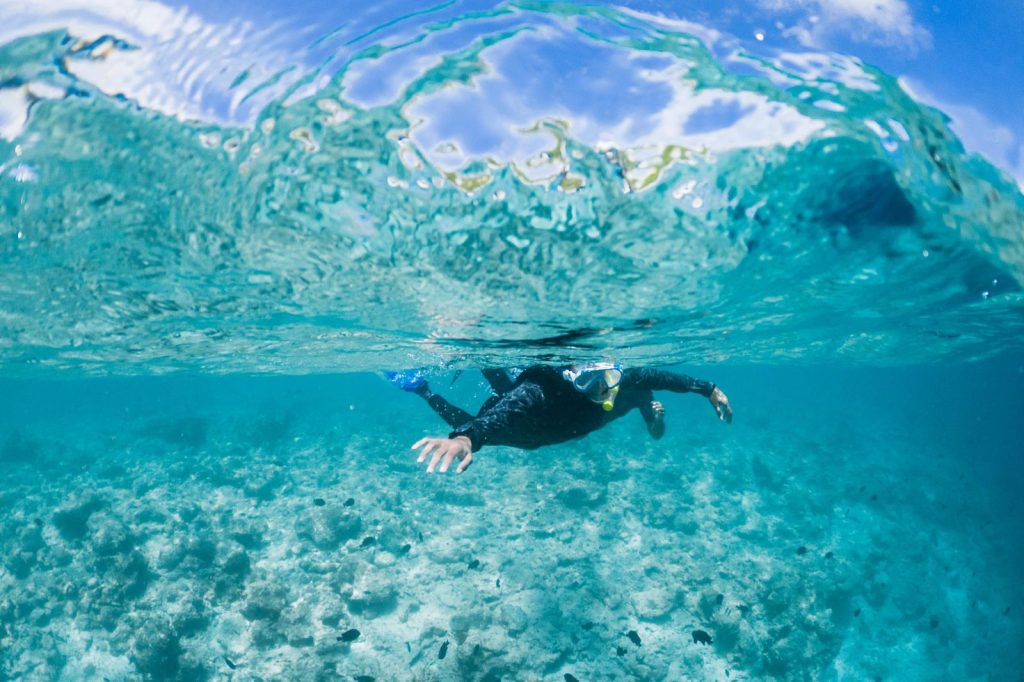 Snorkeling, przylądek Kamenjak, Istria