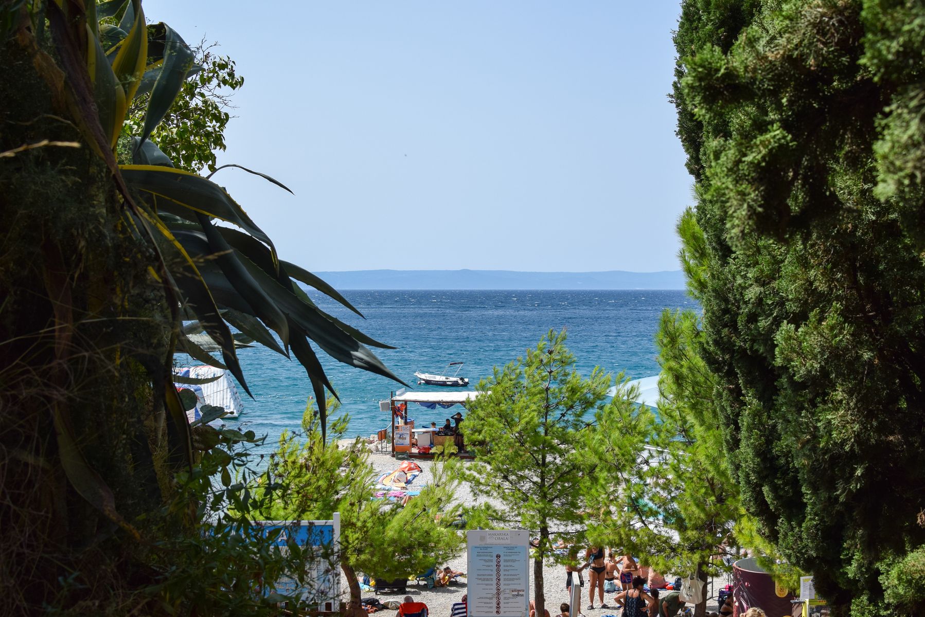 Plaża w Makarskiej otoczona zielenią i czystą wodą Adriatyku