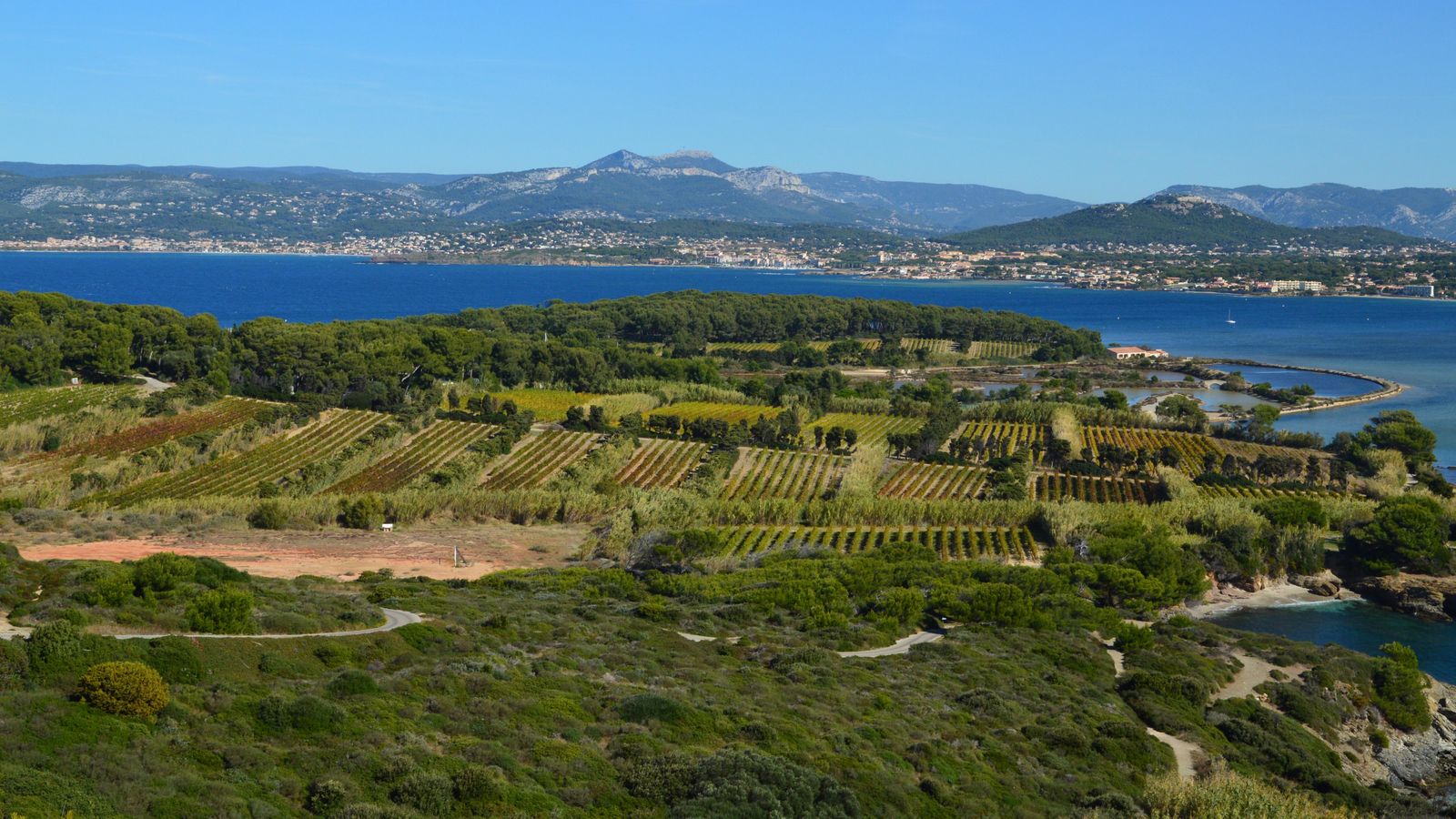 Winnice nad Adriatykiem, region Pelješac i Dalmacja Południowa